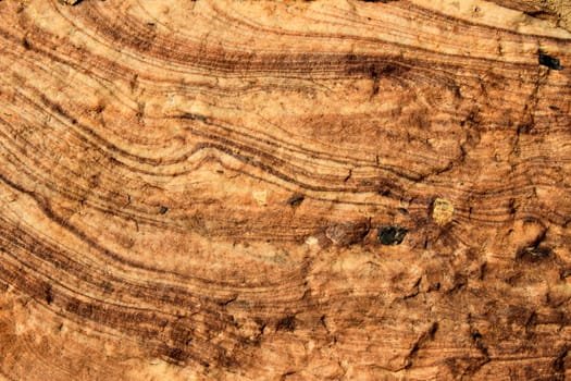 Closer view of rock grain pattern  lit by morning sunlight