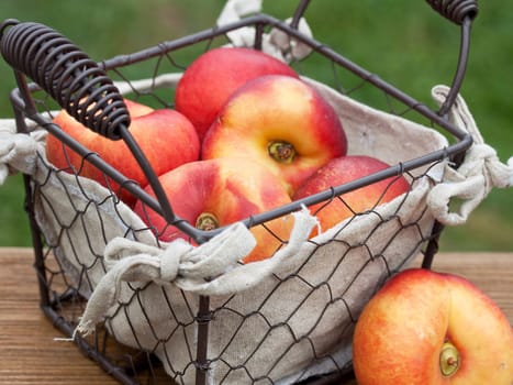 Ripe harvest