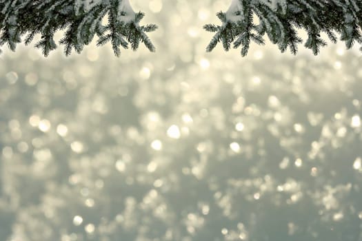Background - Glittering gold and fir branches