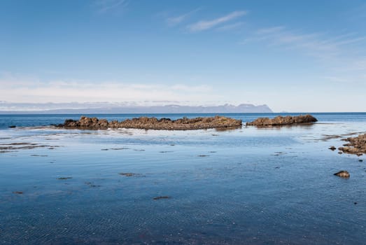rock dragon drinking on the peninsula in Iceland Vatnsnes