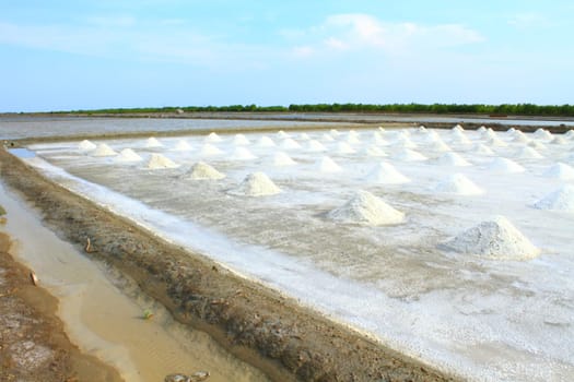 Salt Field, Thailand