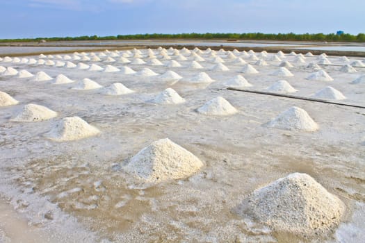 Salt in the Saline in rural Thailand