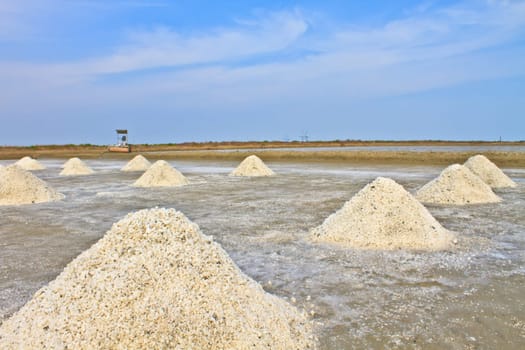 Salt in the Saline in rural Thailand