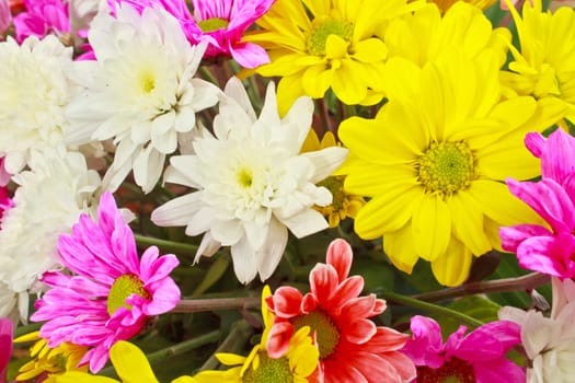 beautiful bouquet of bright flowers