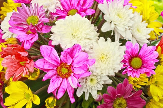beautiful bouquet of bright flowers