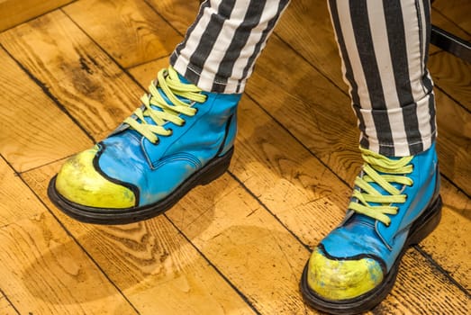 Female legs with colored shoes on wooden floor
