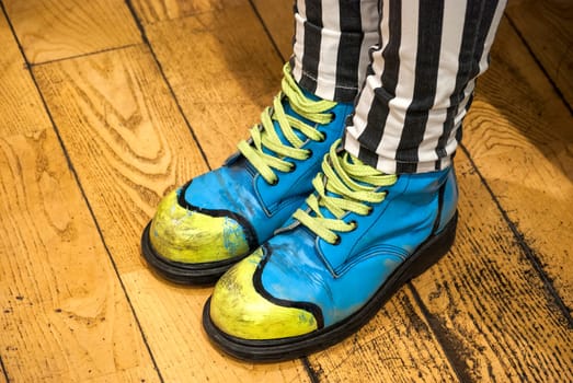Female legs with colored shoes on wooden floor