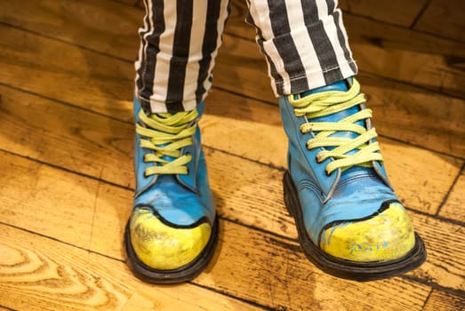 Female legs with colored shoes on wooden floor