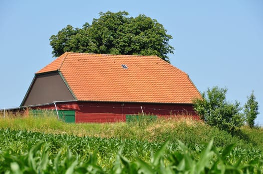 Agriculture