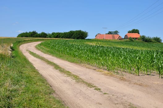Agriculture