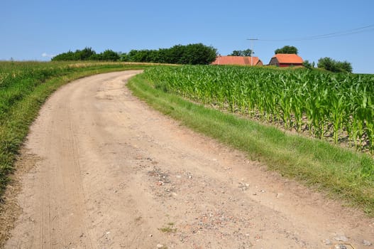 Agriculture
