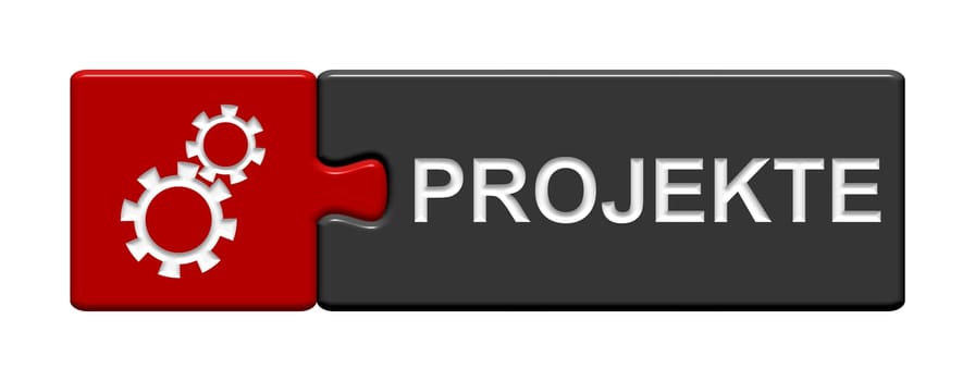 Puzzle Button: Projects