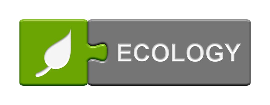 Puzzle Button: Ecology