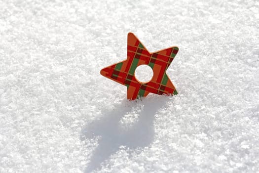 The poinsettia in the snow