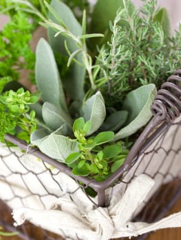Harvest from the herb garden