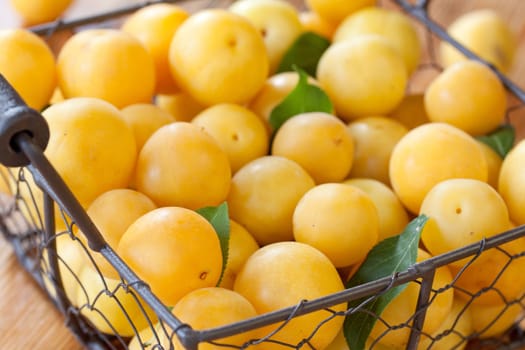 yellow mirabelle plums