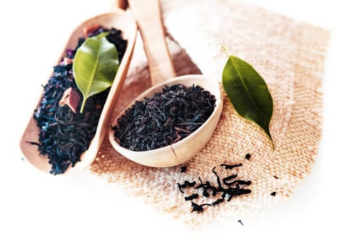Fresh loose dried shredded organic tea leaves in rustic wooden spoons or scoops with fresh green leaves from the tea bush on hessian for a healthy alternative drink
