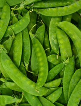 Fresh Sugar Peas