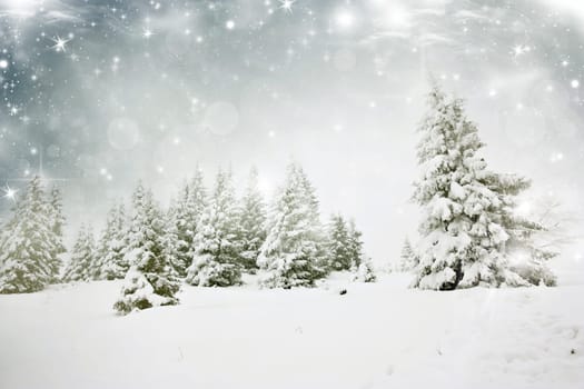 Christmas background with stars and snowy fir trees and snowflakes