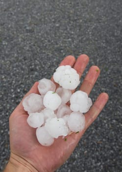 hail without taxi