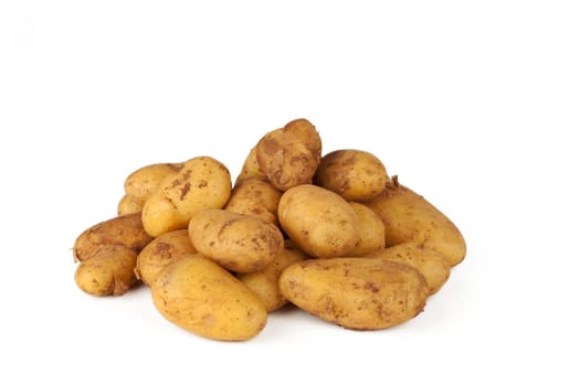 Freshly harvested potatoes