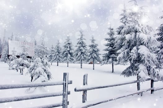 Winter landscape with snowy fir trees