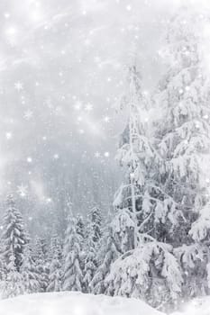 Winter landscape with snowy fir trees