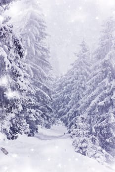 Winter road in the mountains