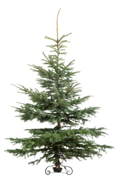 Christmas tree over white background.
