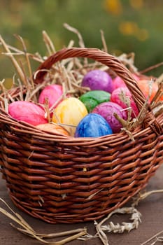 Easter Egg Hunt
