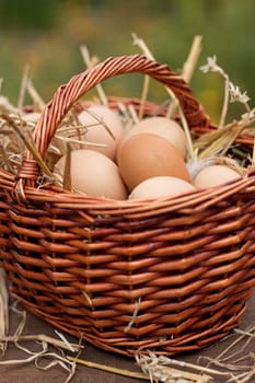 Fresh breakfast eggs