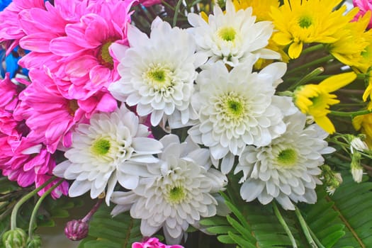 beautiful bouquet of bright flowers, colorful flora