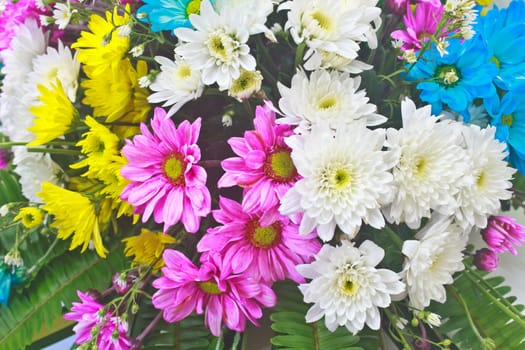 beautiful bouquet of bright flowers, colorful flora