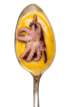 Spoon with squid and curry sauce in portrait format