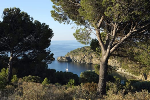 Details of view at the cove Rostella in Spain.