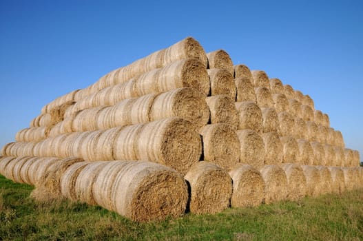 Round bales