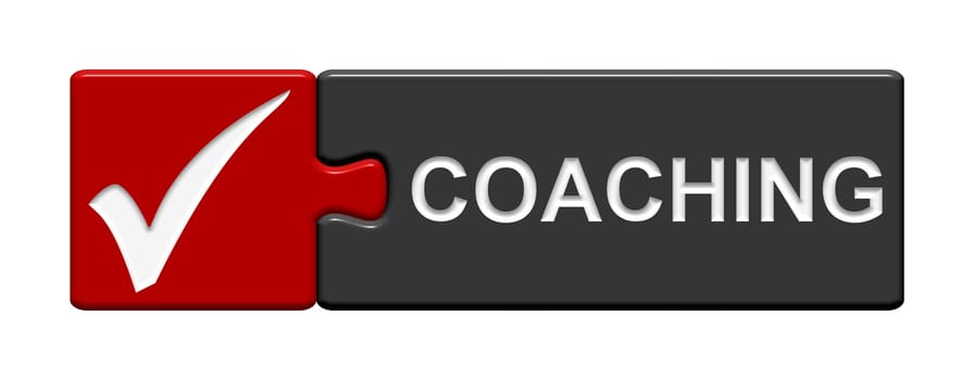 Puzzle Button: Coaching