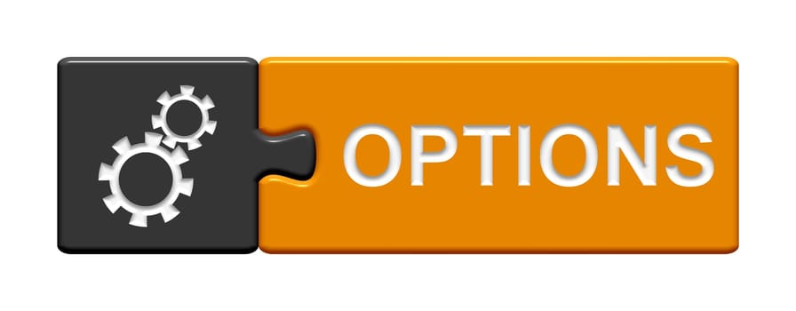 Puzzle Button: Options