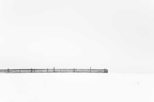 Fence of a willow in the snow