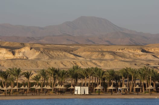 Wines in Marsa Alam in Egypt