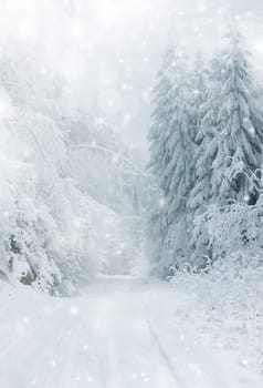 Snow cowered winter road in the mountains