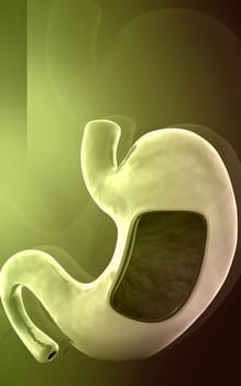 Digital illustration of stomach in colour background