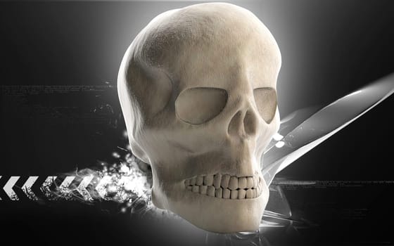 Digital illustration of Human skull in colour background