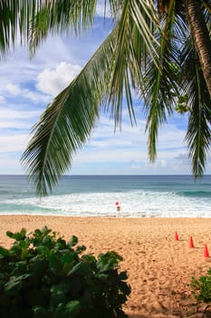 View through palm trees towards the beach