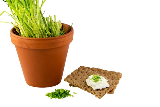 Crispbread with cream cheese and chives and the pot