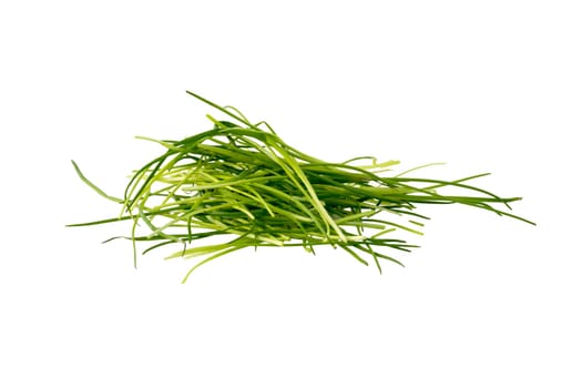 A stack of chives freshly cut