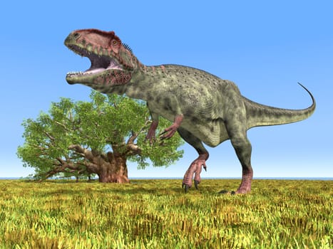 Computer-generated 3D illustration with the dinosaur Giganotosaurus