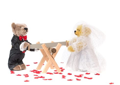 Martin Teddy Bears