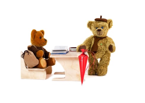 Martin Teddy Bears