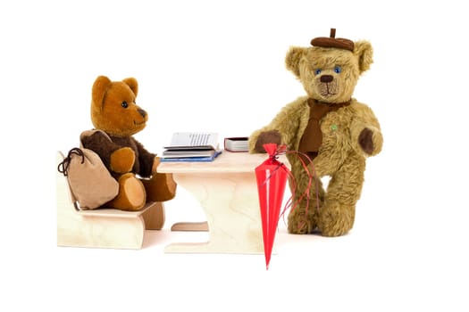 Martin Teddy Bears